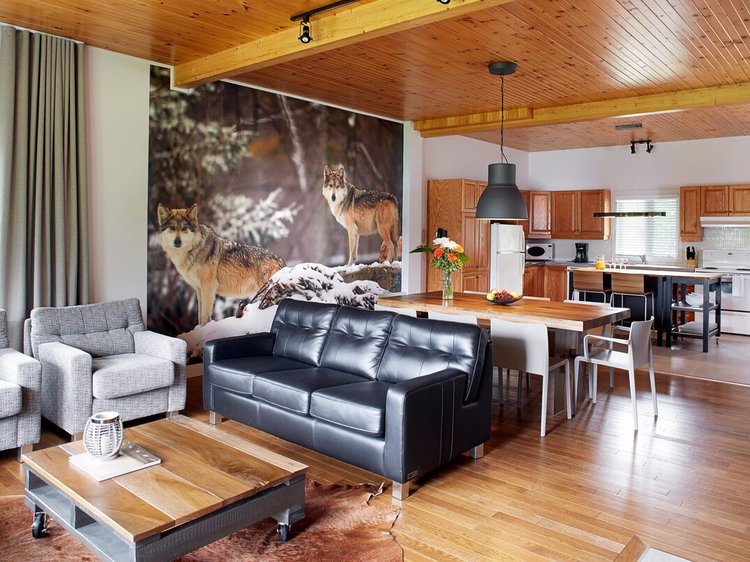 chalet_9999_133m